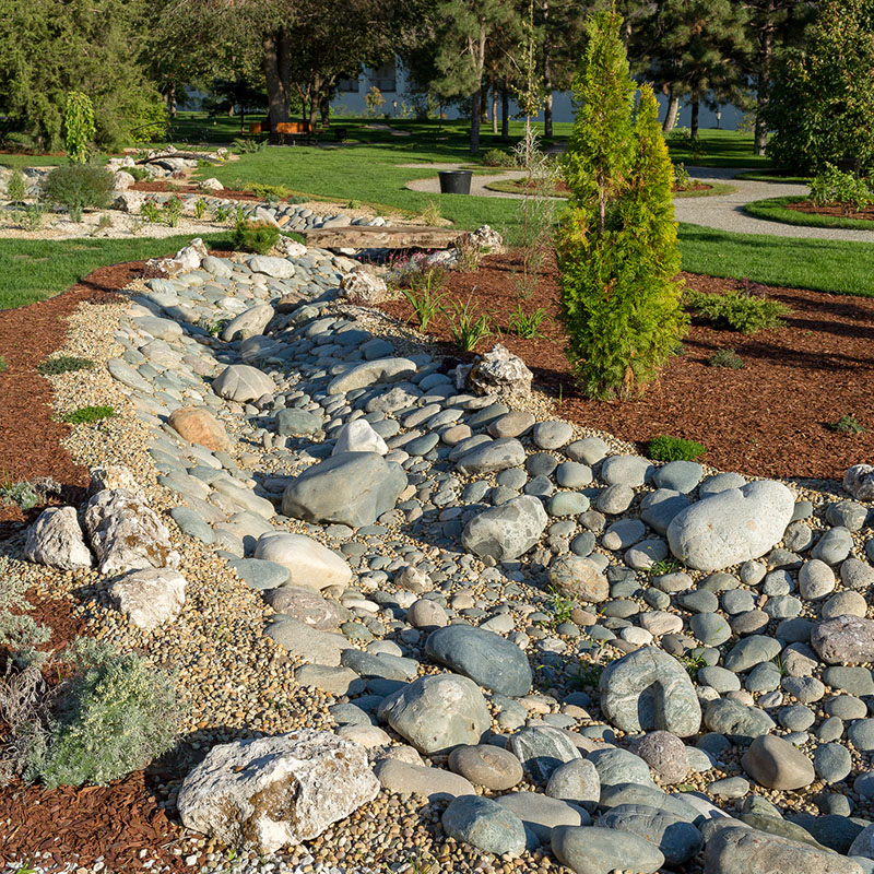 Drought-resistent landscaping