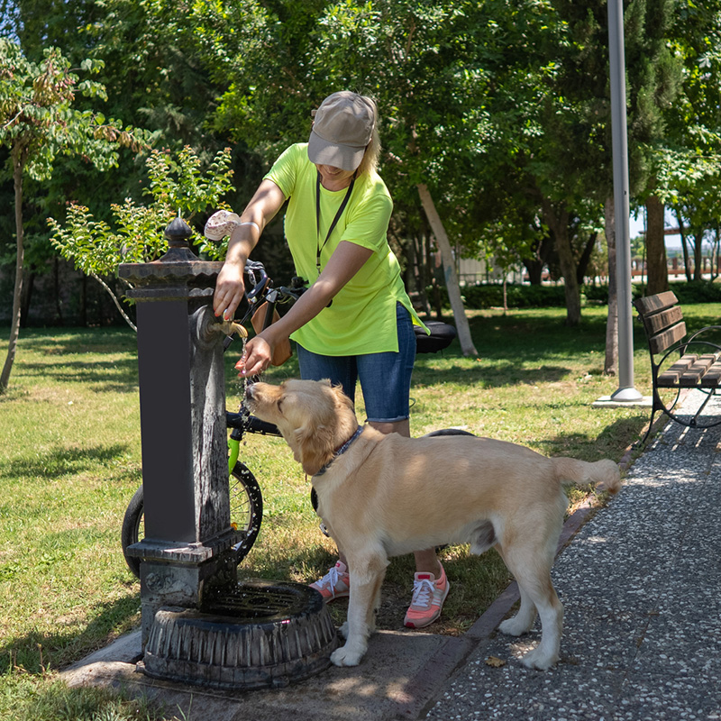 Woman and dog at a water fountain